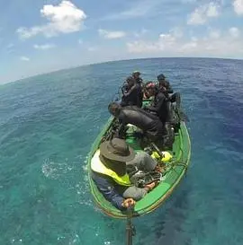 《南海·南海》：一部关于海洋与人性的史诗级纪录片，探索生命的奥秘！