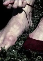 《红鞋子》影评：一部关于成长、勇气与爱的治愈系动画，让你的心瞬间融化！