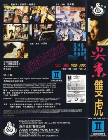 《尖东双虎》：香港街头的兄弟情义与残酷现实，带你重温经典港片