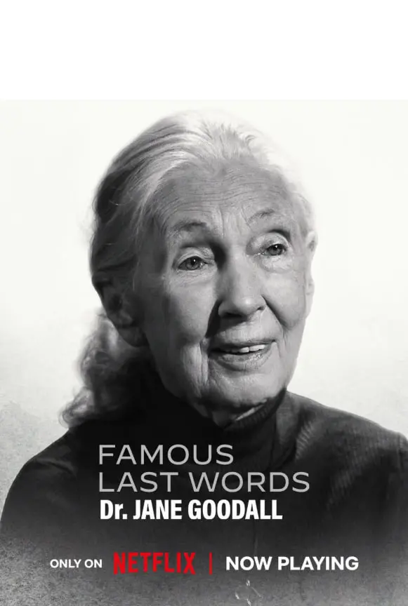 《临终遗言》：在生命尽头，用爱与勇气谱写最后的乐章