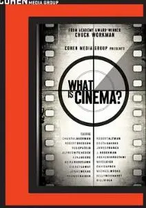 《什么是电影？》：一场颠覆认知的视觉盛宴，探索影像的无限可能与艺术真谛