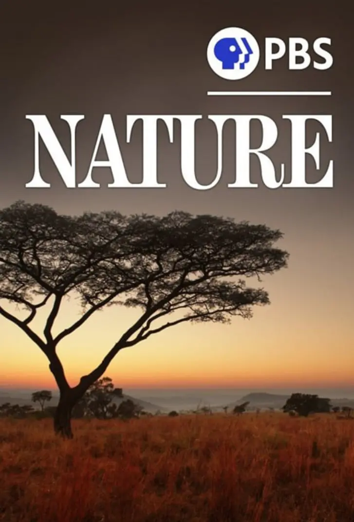 《自然 第四十季》：穿越时空的生命史诗，见证地球的壮丽呼吸