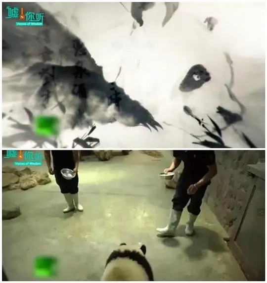 《中国如何拯救大熊猫》：不只是纪录片，这是‘生门’前的生命赞歌！